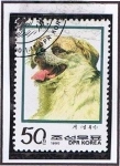 Stamps North Korea -  canis Familiaris