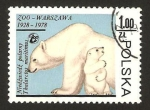 Stamps Poland -  zoo de varsovia, osos polares