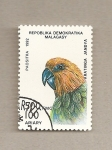 Stamps Madagascar -  Ave Aratinga jandya