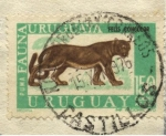 Stamps Uruguay -  Fauna uruguaya. El Puma,  Felis concolor. En la actualidad es una especie extinguida. 