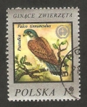 Stamps Poland -  protección de la naturaleza, un halcón