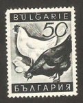 Stamps Bulgaria -  propaganda a favor de los productos nacionales, las gallinas