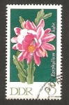 Stamps Germany -  cactus epiphyllum hybride