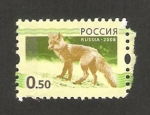 Stamps Russia -  fauna, un lobo