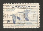 Stamps Canada -  grullas blancas