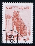 Stamps Afghanistan -  Guepardo