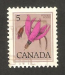 Stamps Canada -  flor, gyroselle de henderson