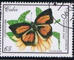 Stamps Cuba -  Exposicion Filat. Mund. BANGKON 2000 (Curetis acuta )