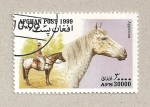 Stamps Asia - Afghanistan -  Caballos