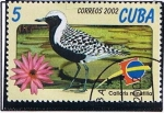 Stamps Cuba -  Calidris minufilla