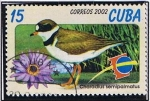 Stamps Cuba -  Charadius semipalmatus