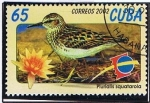 Stamps Cuba -  Plurialis squatarola