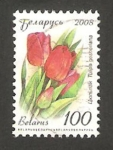 Stamps Belarus -  626 - Tulipán, flor de jardín