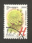 Stamps Belarus -  629 - zinnia, flor de jardín