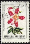 Stamps Argentina -  Flor de Palo Borracho. Chorisia speciosa.