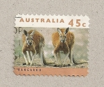 Stamps Australia -  Canguros