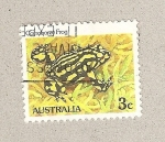 Stamps Australia -  Sapo corroboree australiano