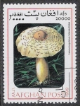 Sellos del Mundo : Asia : Afganistn : SETAS-HONGOS: 1.100.032,01-Leucocoprinus bresadolae  -Mch.1843