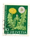 Sellos de Europa - Suiza -  TIMBRES-PRO-JUVENTUD-1960(Seriede3 valores)