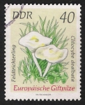 Sellos de Europa - Alemania -  SETAS-HONGOS: 1.152.018,02-Clitocybe dealbata -Dm.974.34-Y&T.1620-Mch.1940-Sc.1540