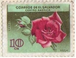 Sellos del Mundo : America : El_Salvador : Rosa 