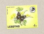 Sellos del Mundo : Africa : Lesotho : Mariposa  Junonia oenone