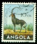 Stamps Africa - Angola -  Hipotrago negro