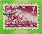 Sellos de America - Argentina -  Nueva Provincia del Chaco