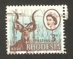 Stamps Zimbabwe -  rhodesia - elizabeth II y antilope kudu