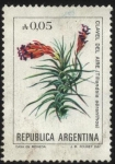 Stamps Argentina -  Flor del Clavel del aire. - Tillandsia aeranthos - 