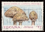 Sellos de Europa - Espa�a -  Matacandelas (Lepiota procera)