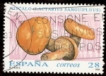 Sellos de Europa - Espa�a -  Níscalo de sangre vinosa (Lactarius sanguifluus)