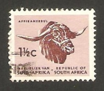 Stamps South Africa -  cabeza de zebu