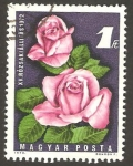 Stamps Hungary -  XV exposición nacional  de rosas