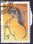 Stamps Russia -  