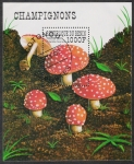 Sellos de Africa - Benin -  SETAS-HONGOS: 1.114.027,00-Amanita muscaria