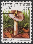 Sellos de Africa - Benin -  SETAS-HONGOS: 1.114.022,01-Cortinarius collinitus -Sc.1030