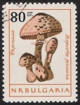 Sellos del Mundo : Europe : Bulgaria : SETAS-HONGOS: 1.120.006,00-Macrolepiota procera