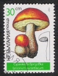 Sellos del Mundo : Europe : Bulgaria : SETAS-HONGOS: 1.120.023,01-Leccinum aurantiacum -Dm.978.6-Y&T.3073-Mch.3548-Sc.3234