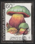 Sellos del Mundo : Europe : Bulgaria : SETAS-HONGOS: 1.120.036,01-Boletus satanas -Dm.991.12-Y&T.3357-Mch.3891-Sc.3602