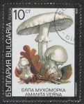 Sellos de Europa - Bulgaria -  SETAS-HONGOS: 1.120.032,02-Amanita verna -Dm.991.8-Y&T.3353-Mch.3887-Sc.3598