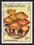 Sellos de Africa - Burkina Faso -  SETAS-HONGOS: 1.121.013,01-Ixocomus granulatus -Dm.985.106-Y&T.678-Mch.1056-Sc.745