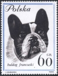 Stamps Poland -  Perro