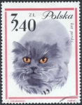 Sellos de Europa - Polonia -  Gato