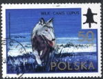 Sellos de Europa - Polonia -  Lobo