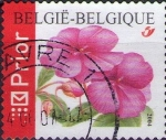 Stamps Belgium -  