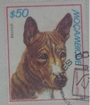 Sellos de Africa - Mozambique -  basenji