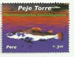 Stamps Peru -  Peces de rio del Perú