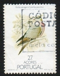 Sellos de Europa - Portugal -  Aves de las Azores