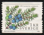 Stamps Sweden -  Enebro común